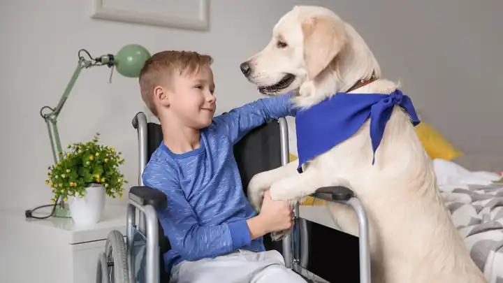 Boy in a wheelchair hugging his service dog at home