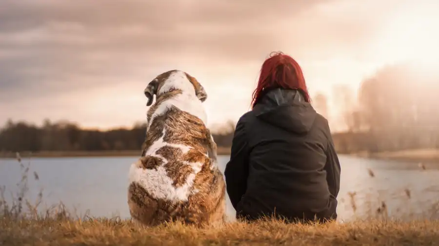 Person sitting by a lake with their dog for calm