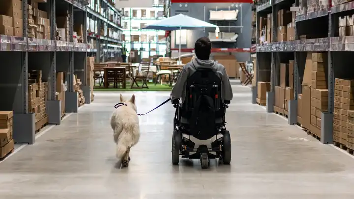 Handler in a wheelchair shopping with a service dog in a store aisle